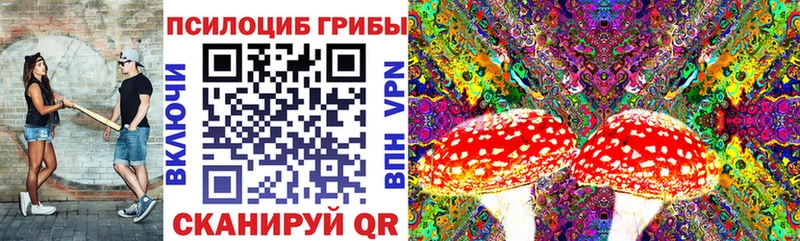 Псилоцибиновые грибы Magic Shrooms  Купить  Старый Оскол 
